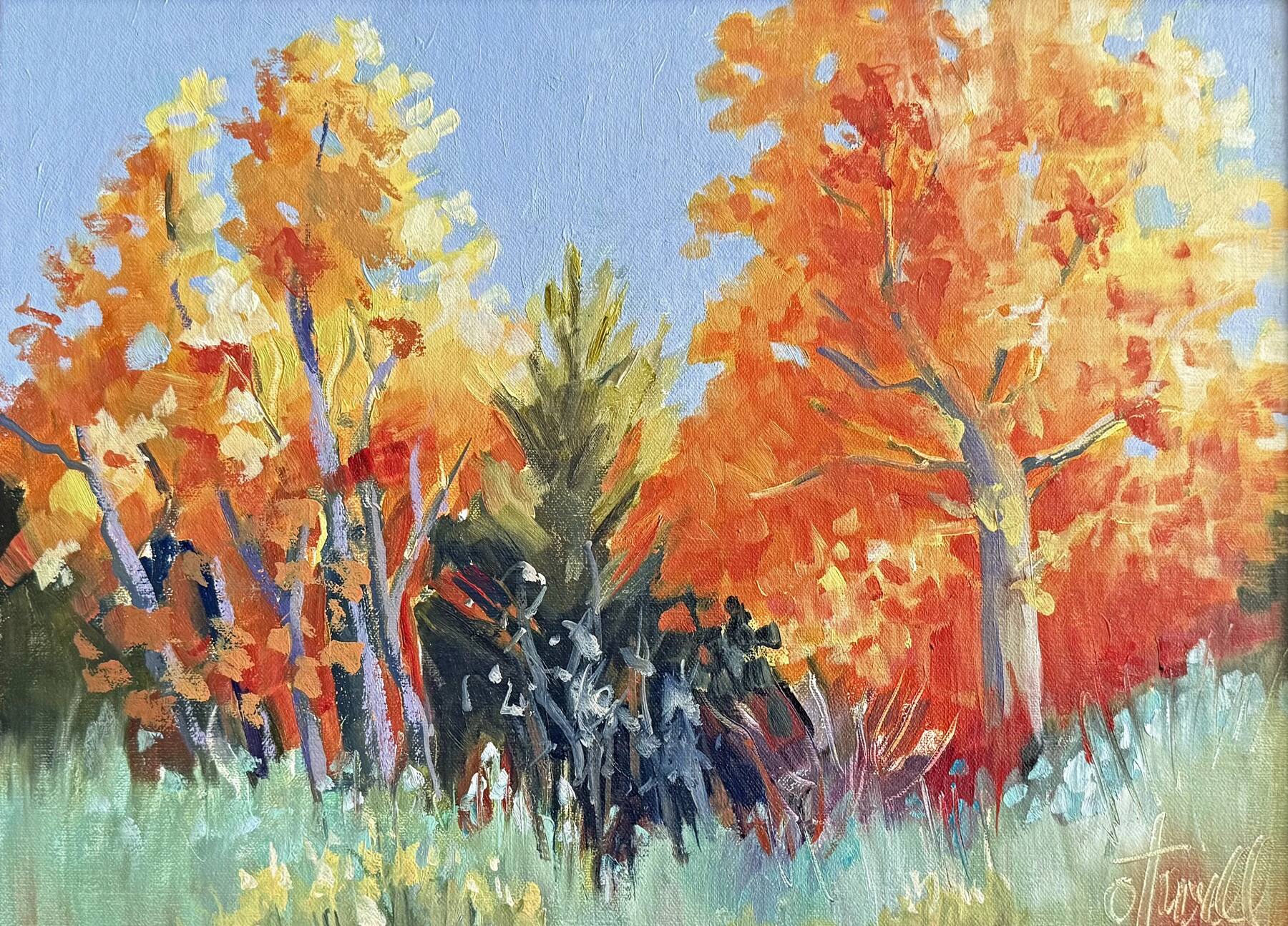 Fall Aspens, Eastern Sierra, a painting by Penny Otwell of orange and gold aspens against a pale autumn sky