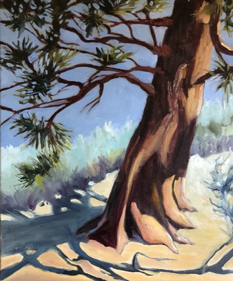 The Jeffrey Pine, an oil painting by Penny Otwell of a sunlit Jeffrey pine trunk throwing long shadows across pale sand and granite