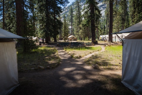 Looking out between two tent cabins toward the center of camp.
