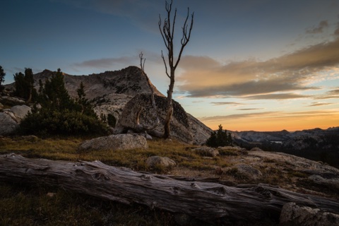 Sunset from the granite bench above camp, a weathered snag against the afterglow.