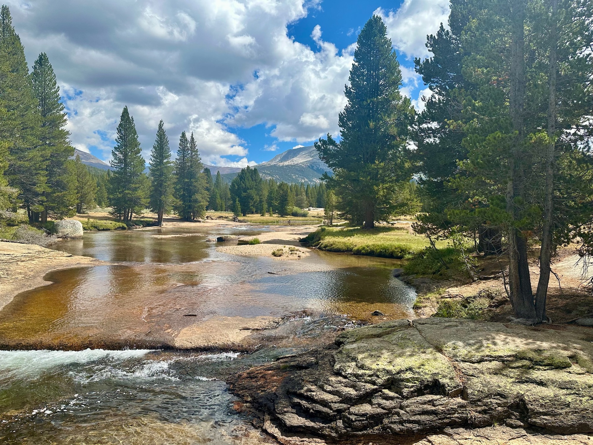 The Dana Fork of the Tuolumne River winding through Tuolumne Meadows past lodgepole pines, Mount Dana and Mount Gibbs on the skyline